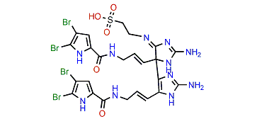 Nagelamide H